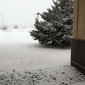 Meet your Posher, Maricruz